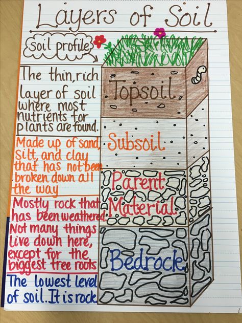 Layers of Soil Anchor Chart Soil Anchor Chart, Anchor Charts Science, Elementary Anchor Charts, Science Activities For Elementary, Layers Of Soil, Biology Teaching, Grade 3 Science, Science Anchor Charts, 4th Grade Science