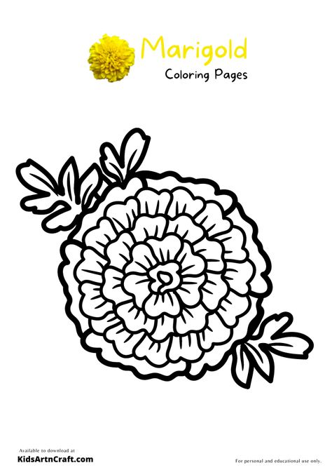 Marigold Coloring Pages For Kids – Free Printables Check more at https://www.kidsartncraft.com/marigold-coloring-pages/ Flower Stencils, Printables Free Kids, Flower Stencil, Hand Embroidery Patterns, Free Kids, Student Art, Dia De Muertos, Family History, Coloring Pages For Kids