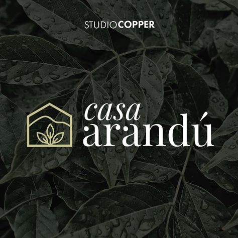 STUDIO COPPER on Instagram: Inspirado en la naturaleza, la relajación y el paisaje que rodea al hospedaje. #logo #graphicdesign #hotel #nature #balance Editorial, Copper, Branding, Hotel, Architecture, ? Logo, Movie Posters, On Instagram, Quick Saves