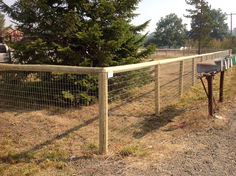 Top Rail Fencing with No-Climb Wire www.statewidefence.net No Climb Fence Ideas, No Climb Fence, Wood Frame Wire Fence, Post And Rail Fence With Wire, Wood Framed Wire Fence, No Climb Horse Fence, Pig Wire Fence, Dog Yard Fence, Wooden Post Fence With Wire