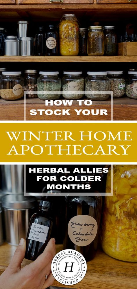 Home Apothecary, Herbal Academy, Winter Health, Slippery Elm, Herbal Recipes, Herbal Apothecary, Natural Healing Remedies, Herbal Healing, Winter Home