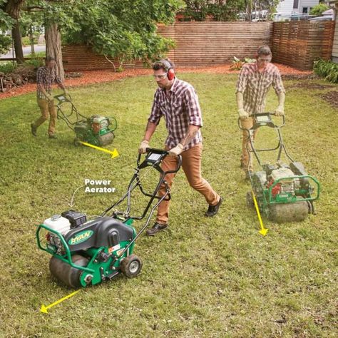 for establishing new lawns or in gardens.  Spread starter fertilizer over the yard. Follow the directions on th How To Reseed Your Lawn, Reseeding Lawn, Lawn Repair, Lawn Work, Growing Grass, Sprinkler Heads, Aerate Lawn, Landscaping Retaining Walls, Diy Lawn