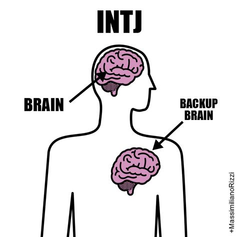 INTJ's in a nutshell Intj Things, Intj Istj, Personalidad Infj, Intj Humor, Intj Female, Intj Women, Intj Infj, Mbti Intj, Intj And Infj