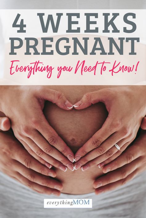 Believe it or not, you are 4 weeks pregnant, or one month into your ten-month pregnancy.You might believe it at the end of this week when your period is suspiciously absent.Or you might be running about in the throes of daily life and not noticing a thing.Perhaps your menstrual cycles are longer than average or irregular. 4weeks Pregnant, One Month Pregnant, 4 Weeks Pregnant, Early Pregnancy Test, 17 Weeks Pregnant, 11 Weeks Pregnant, 10 Weeks Pregnant, First Trimester Tips, 13 Weeks Pregnant