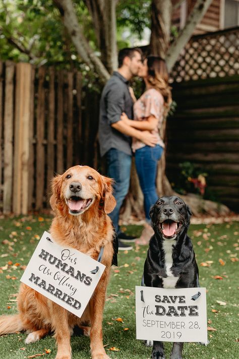 Engagement Photos with Adorable Dogs In Tampa, Florida ©Dewitt For Love Photography,  Dogs holding #savethedate signs Engagement Photos With Dog, Funny Engagement Photos, Classy Engagement Photos, Urban Engagement Photos, Urban Engagement, Cute Engagement Photos, Photos With Dog, Pre Wedding Shoot, Save The Date Photos