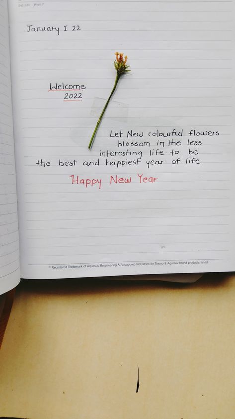 Personal Diary Decor Ideas, New Year Diary Writing, Writing Dairy Ideas, Ruled Diary Ideas, New Year Diary Ideas 2024, Personal Diary Writing Ideas Creative, Quotes For Personal Diary, Quotes For Diary Writing, New Year Dairy Ideas