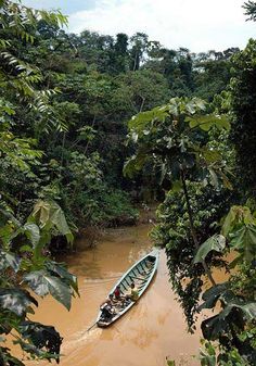 Amazon River Photography, Amazon River Aesthetic, Amazon Forest Aesthetic, Amazon Rainforest Photography, Brazil Amazon Rainforest, Jungle Video, Brazil Rainforest, Rainforest Deforestation, Amazon Brazil