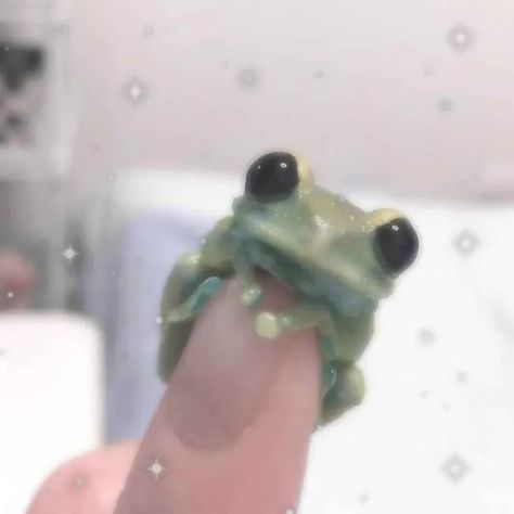 Cute Pfp Frog, Frog Profile Picture Aesthetic, Cottagecore Profile Pic, Haerin Frog Icon, Frog Pfp Cute, Frog Icon Aesthetic, Cute Frog Icons, Aesthetic Frog Pfp, Frog Aesthetic Pfp