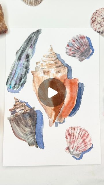 Drawing Shells Seashells, Watercolour Shells Watercolor Painting, Watercolor Seashells Tutorial, Paint Seashells, Seashell Watercolor, Watercolor Seashells, Watercolor Pencil Art, Beautiful Shells, Happy Painting