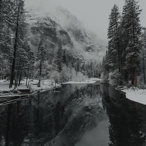 Viking Aesthetic, Snowy Woods, Mountain Aesthetic, Mountains Aesthetic, Nature Winter, Snow Forest, Winter Mountain, Snowy Forest, Winter Scenery