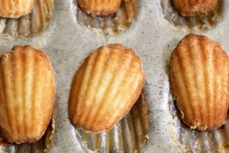 French Madeleines, Eating Outside, French Picnic, Madeleine Recipe, Fine Dining Recipes, Impressive Recipes, French Dessert, Soup Kitchen, French Desserts