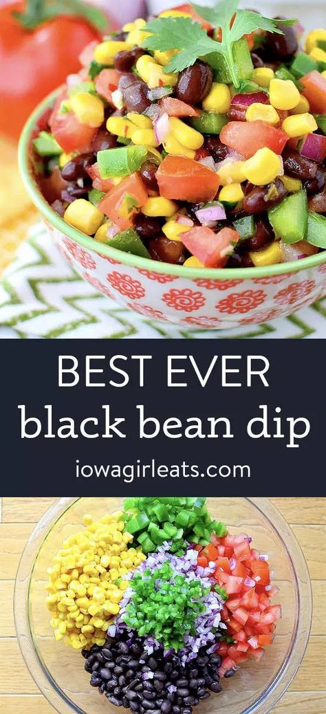 Black Bean Dip Recipe, Healthy Dip Recipes, Cold Dip Recipes, Bean Dip Recipes, Black Bean Dip, Party Dip Recipes, Iowa Girl Eats, Dip Recipes Easy, Beach Meals