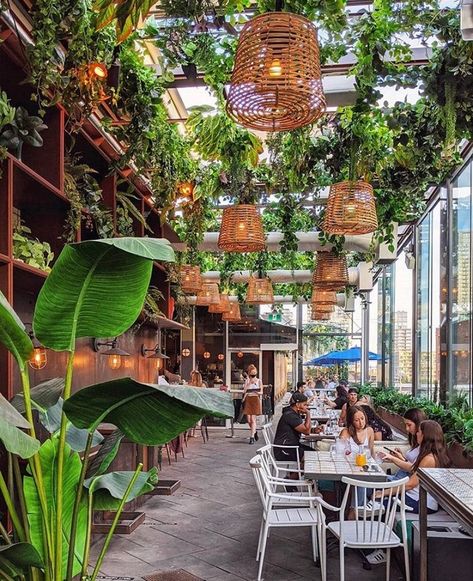 Restaurant With Plants, Greenhouse Restaurant, Outdoor Restaurant Patio, Greenhouse Cafe, Roof Terrace Design, Rooftop Venue, Latin Culture, Rooftop Patio Design, Outdoor Restaurant Design