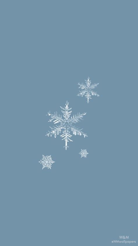 Winter Aesthetic Wallpaper Simple, Minimalist Winter Aesthetic, Cute Winter Wallpapers Aesthetic Simple, Winter Wallpaper Snowflakes, Snow Flake Aesthetic, Winter Asthetics Photos Wallpaper, Light Blue Snowflake Wallpaper, Snow Flakes Aesthetic, Minimalist Winter Wallpaper