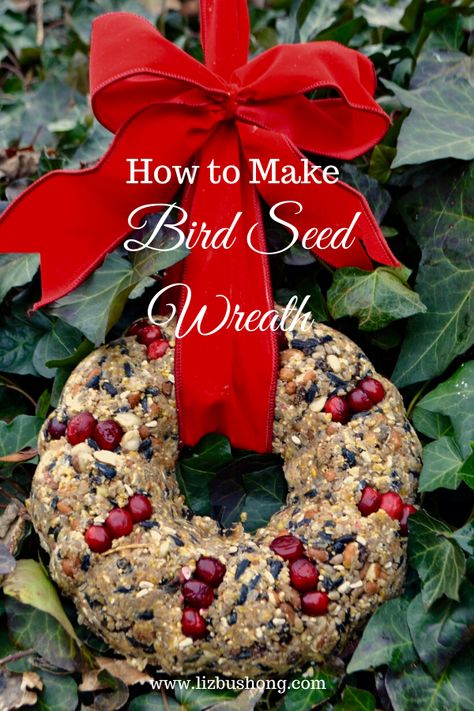 Dried Fruit and Berry Bird Seed Wreath DIY Bird Seed Wreath Recipe, Homemade Bird Seed, Nut Wreath, Duck Keeping, Bird Seed Crafts, Bird Seed Wreath, Edible Wreath, Bird Suet, Bird Seed Ornaments