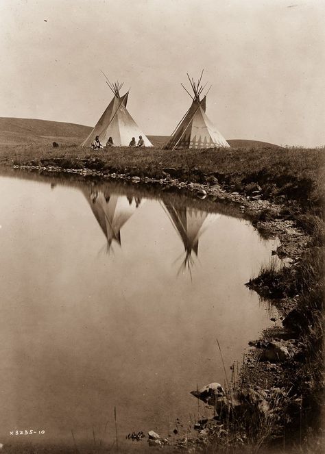 Piegan Tepees, 1910 Edward Curtis, Indian Theme, American Quotes, American Photo, Wilde Westen, Native American Photos, Native American Peoples, Native American Heritage, Native American Tribes