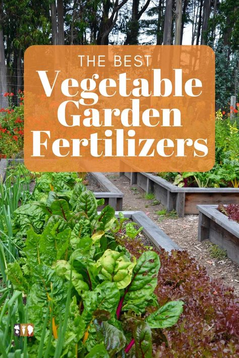 Check out the best fertilizers for vegetable gardens and grow a thriving garden! See many organic liquid and granular fertilizer options. Vegetable Garden Fertilizer, Diy Fertilizer, Flower Fertilizer, Compost Tea, Best Perennials, Thriving Garden, Vegetable Gardens, Fertilizer For Plants, Edible Landscaping