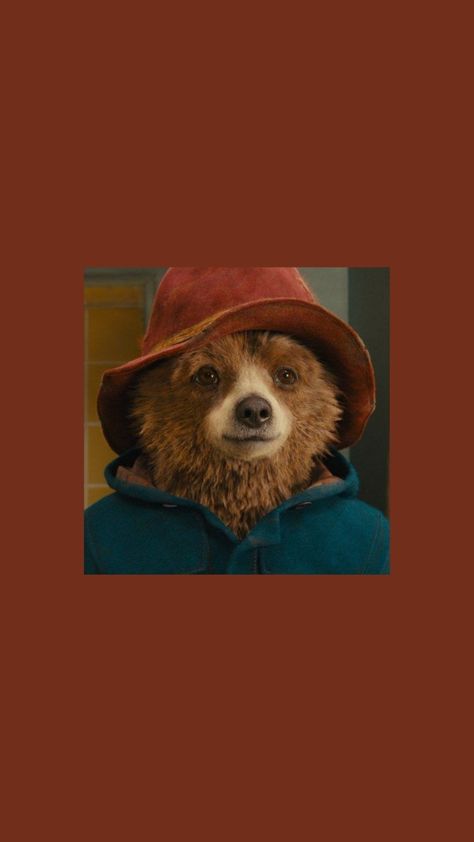 Paddington Paddington Wallpaper Iphone, Paddington Bear Wallpaper Iphone, Paddington Wallpaper, Cartoons Animation, Paddington Bear, I'm Crazy, Im Crazy, Bear Wallpaper, Desktop Wallpaper