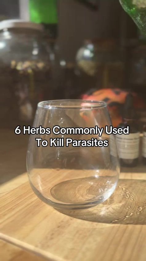 3K views · 109 reactions | 6 Herbs Commonly Used To Kill Parasites🪱🐛You can find our “Parasite Cleanse Tincture & Bundle” available on our website. We also make each herb mentioned in this video as a simple tincture. #herbalism #parasitecleanse #holistichealth #wellnesstips #detoxification #medicinalherbs #herbalmedicine #healyourself | Alia's Herbals Parasite Cleanse Tincture, Herbal Parasite Cleanse, Iodine Supplement, Saved Videos, Parasite Cleanse, Tea Cleanse, Cleanse Recipes, Natural Therapy, Healing Herbs