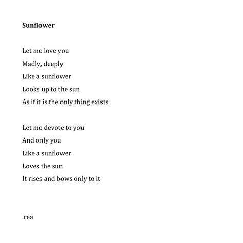 Sunflower Meaning In Love, Poems About Sunflowers, Sunflowers Meaning, Sunflower Poetry, Sunflower Meaning, Sunflower Poem, Brand Shapes, Johnny Sawyer, Sunshine Character