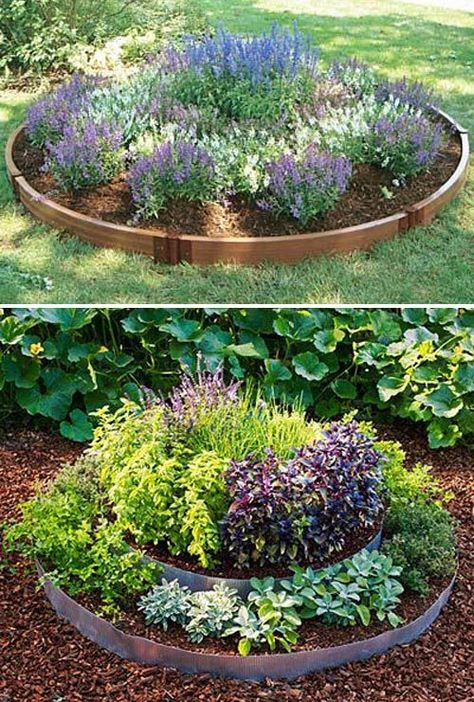 Integrate fruits, vegetables, and herbs into your landscaping. Use attractive plants like colorful peppers, kale, and strawberry plants. Circle Garden Bed, Round Garden Bed, Raised Garden Designs, Circle Garden, Landscaping Around Trees, Round Garden, Building A Raised Garden, Beautiful Flowers Garden, Garden Designs