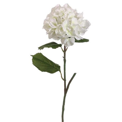 Artificial Silk Hydrangea Flower in Cream<br>6.5" Bloom x 23" Tall Wedding Flower Guide, Fake Hydrangeas, Cheap Wedding Flowers, Hydrangea Colors, Silk Hydrangeas, Flower Guide, Artificial Hydrangeas, Spring Wedding Flowers, Silk Flowers Wedding