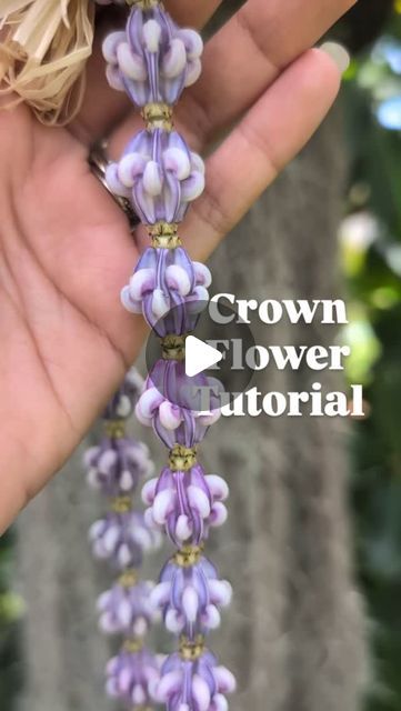 Ho'olei MAUI on Instagram: "If you have Crown Flower, mini scissors and lots of patience you're good to go! 

I saw this technique on a Thai Flower Garland reel, but you know I had to see the lei version! What should we call this one?" Crown Flower Lei, Mini Scissors, Lei Making, Thai Flower, Purple Crown, Flower Lei, Crown Flower, Flower Garland, Flower Garlands