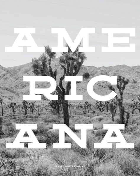 Top 12 Free “Americana” Fonts Americana Design Inspiration, Western Font Pairings, Modern Western Graphic Design, Americana Typography, Americana Graphic Design, Western Graphic Design, Western Branding, Western Typography, Western Brands