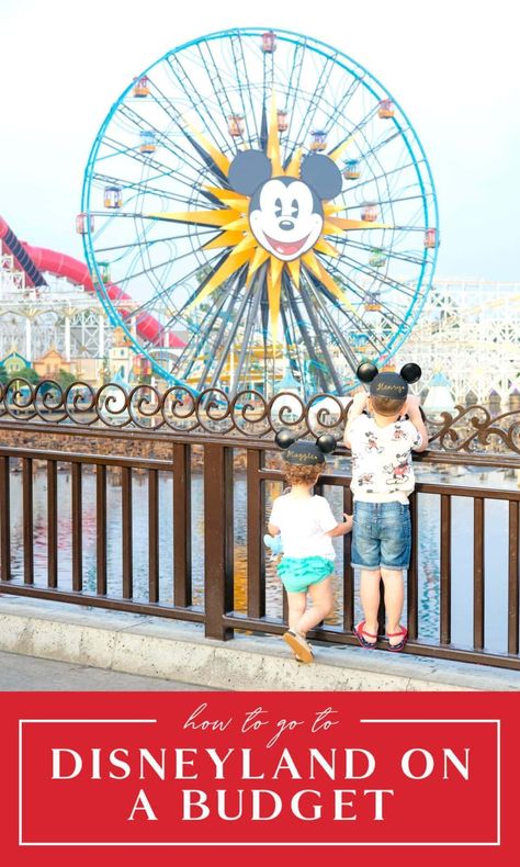 Ever wonder how to go to Disneyland on a budget? Here are eight solid tips and hacks to visit Disneyland without breaking the bank! Learn about everything from free things to affordable food, hotelshacks, and tricks to make it affordable. Disneyland On A Budget, Disneyland Hacks, Disneyland On A Budget 2023, Tips And Tricks For Disneyland, Disneyland Cheap Budget, Disneyland Budget, Disneyland Genie Plus Tips, Pictures Of Beautiful Places, Disneyland Food