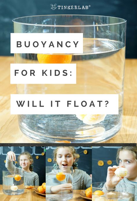 This is such an easy science experience for little kids.   If you have a curious kid who enjoys asking big questions and making scientific observations, try this BUOYANCY EXPERIMENT. The supplies are simple. Bonus! Healthy snacking while you make your hypotheses.  https://tinkerlab.com/buoyancy-for-kids-will-it-sink-or-float  #goodchoicekid #wonderfulhalos #ad Will It Float Or Sink, Pyp Exhibition, Science Projects For Middle School, Science Magic, Science Experience, Elementary Science Activities, Sink Or Float, Experiments Kids, Preschool Stem