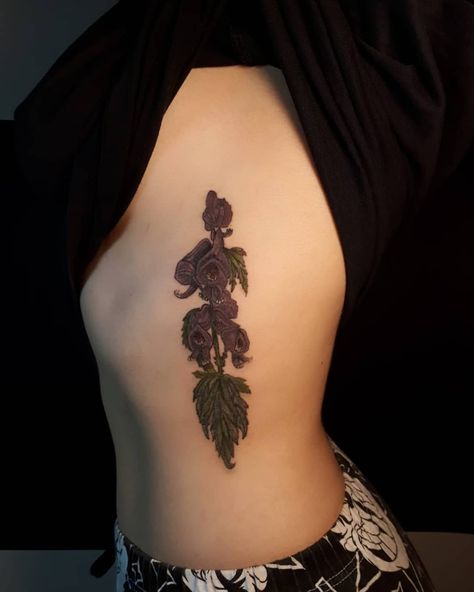 #tattoo  #floraltattoo #kurtboğan #tattoomagazine #tattrx #tattooistartmagazine #monkshood #wolfsbane  #botanicaltattoo #aconitum… Monkshood Flower Tattoo, Monkshood Tattoo, Wolfsbane Tattoo, Monkshood Flower, Tattoo Magazine, Botanical Tattoo, Tattoo Magazines, T Magazine, Indie Kids