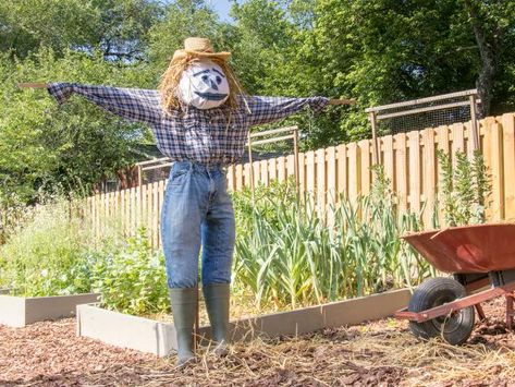 Build a simple scarecrow of your own design using wooden garden stakes, some old clothes and shoes, a hammer and a little imagination. Scarecrow For Garden, Scary Scarecrow, Make A Scarecrow, Scarecrows For Garden, Diy Scarecrow, Halloween Scarecrow, Fall Garden Vegetables, Shapes Images, Halloween Activities For Kids