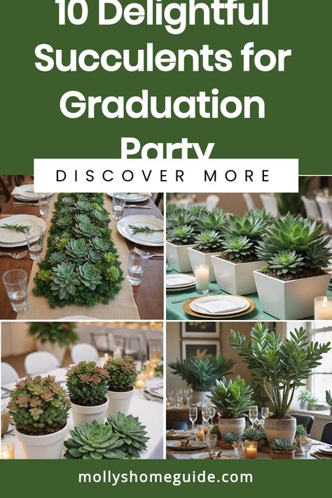 Looking for unique decoration ideas for your upcoming graduation party? Why not consider using succulents for graduation party centerpieces or as grad party favors! Succulents make great Graduation party decor and can also be used as Succulent graduation favors. Elevate your Graduation party theme with these charming succulent arrangements. Get inspired with our collection of Succulents for graduation party and create a memorable event that your guests will love! Unique Decoration Ideas, Grad Party Favors, Succulent Display, Graduation Tables, Graduation Party Centerpieces, Graduation Party Themes, Succulent Centerpieces, Graduation Favors, Graduation Theme