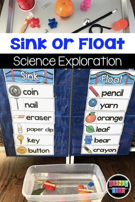 Vetenskapliga Experiment, Pre-k Science, Ocean Theme Preschool, Sink Or Float, The Water Cycle, Motivate Students, Science Week, Preschool Science Activities, Ocean Activities