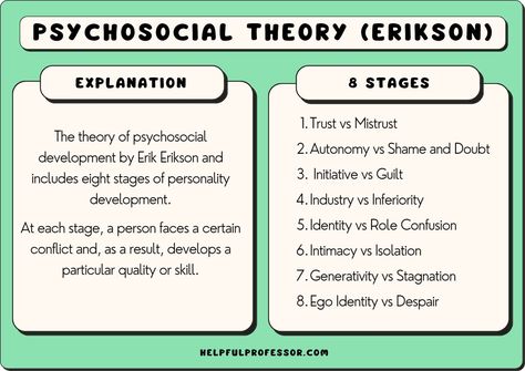 The theory of psychosocial development was invented by the famous American psychologist Erik Erikson and includes eight stages of personality development. At each stage, a person faces a certain conflict and, as a result, develops Erik Erikson Stages Human Development, Psychosocial Theory, Erickson Stages Of Development, Freud Psychoanalytic Theory, Erikson Stages, Stages Of Psychosocial Development, Development Psychology, Trait Theory, Psychosocial Development