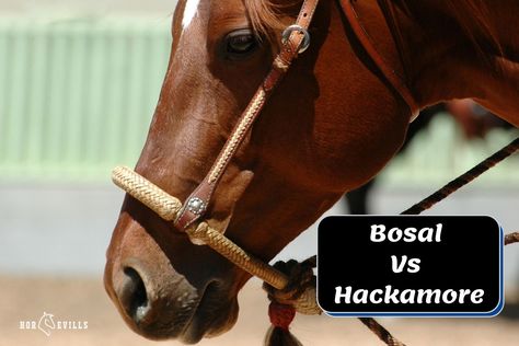 Bosal vs Hackamore: Key Differences (Comparison Guide) Horse Tack Knowledge, Training A Yearling Horse, Bosal Hackamore, Horse Size Comparison, Different Types Of Horse Bits, Horse's Neck, Rough Hands, Bitless Bridle, Rope Halter