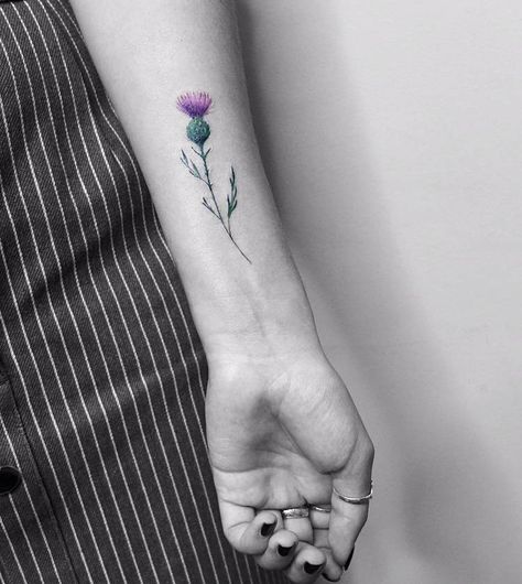 Realistic Thistle Tattoo by Vitaly Kazantsev Scotland Tattoo, Scottish Thistle Tattoo, Scottish Tattoo, Scottish Tattoos, Thistle Tattoo, Graphic Tattoo, Lavender Tattoo, Designs Graphic, Inspiration Tattoos