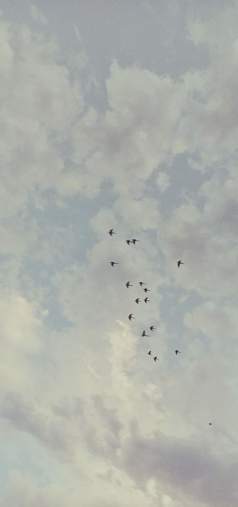 Bird Sky Aesthetic, Birds Wallpaper Aesthetic, Sparrows Wallpaper, Birds Photography Flying Sky, Aesthetic Bird Wallpaper, Bird Wallpaper Aesthetic, Aesthetic Birds Flying, Birds Aesthetic Wallpaper, Birds Sky Aesthetic