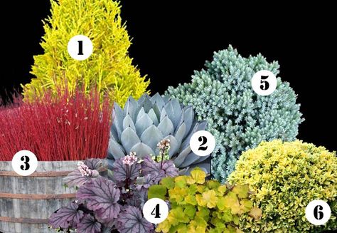 color for shade garden | ... landscape plan this year & ideas for year-round color in your garden Garden Landscape Plan, Foundation Planting, Easy Landscaping, Garden Shrubs, Landscape Plan, Landscape Plans, Landscaping Tips, Garden Landscape, Shade Plants