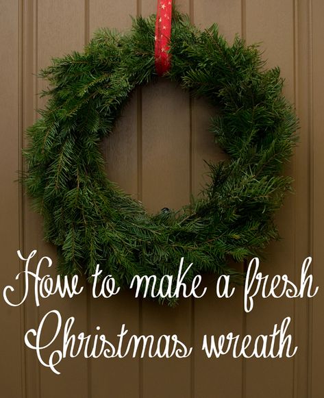 How to Make a Live Christmas Wreath Tutorial! From overthebigmoon.com! Live Christmas Wreath, Live Christmas Wreaths, Real Christmas Wreaths, Crockpot Christmas, Christmas Reef, Homemade Christmas Wreaths, Fresh Christmas Wreath, Living Wreath, Big Moon