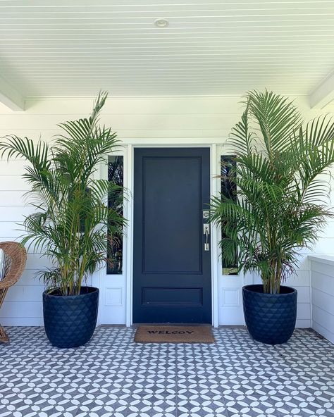 Entrance Plants Outdoor Front Doors, Entryway Plants Outdoor, Front Porch Tile Ideas, Little Cottage House, House Frontage, Property Staging, Planting Layout, Front Door Plants, Facade Ideas