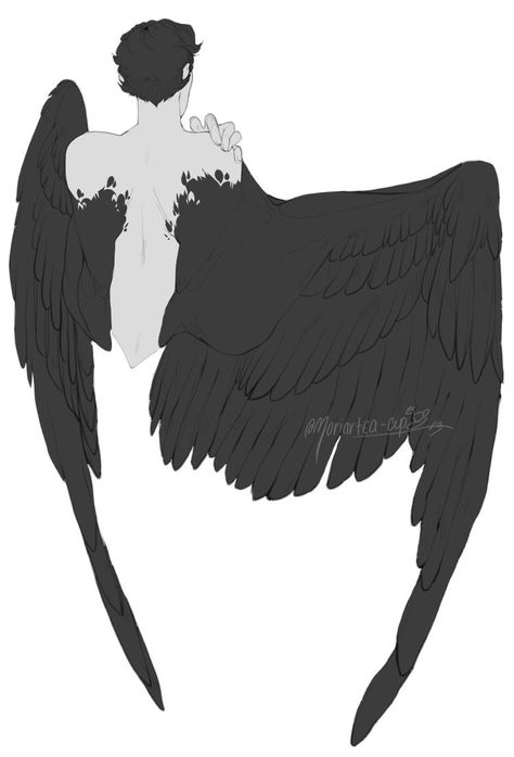 Characters With Wings, Winged People, Drawing Characters, Creativity Ideas, Bird People, Wings Drawing, Wings Art, Black Wings, Poses References