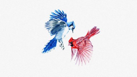 Blue Jay and Cardinal Watercolor Robin And Blue Jay Tattoo, Watercolor Bluejay Tattoo, Blue Bird And Cardinal Tattoo, Blue Jay And Red Cardinal Tattoo, Red And Blue Bird Tattoo, Cardinal Blue Jay Tattoo, Bluejay And Cardinal Tattoo, Blue Jay Tattoo Simple, Blue Jay And Cardinal Tattoo