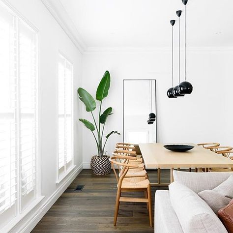 There is so much to love about interior spaces but bright light (and white!) spaces are my favourite. Beautiful image by /biasoldesign/ #wishbonechair #blackpendant #indoorplant by neutralinstinct Scandinavian Dining Room, Minimal House, Bohemian Decoration, Dark Floors, 아파트 인테리어, Sopot, Style Deco, Dining Room Inspiration, Design Del Prodotto