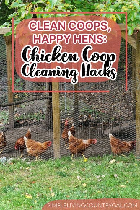 Say goodbye to smelly and dirty coops with these simple coop cleaning hacks that will keep your chickens healthy and happy! Learn how to use herbs, hand dusters, manure buckets, and more for maintaining a hygienic living space for your flock. Chicken Coop Hacks, Chicken Coop Cleaning, Easy Chicken Coop, Clean Chicken, Chicken Toys, Chicken Health, Indoor Outdoor Carpet, Chicken Chick, Chicken Coop Designs