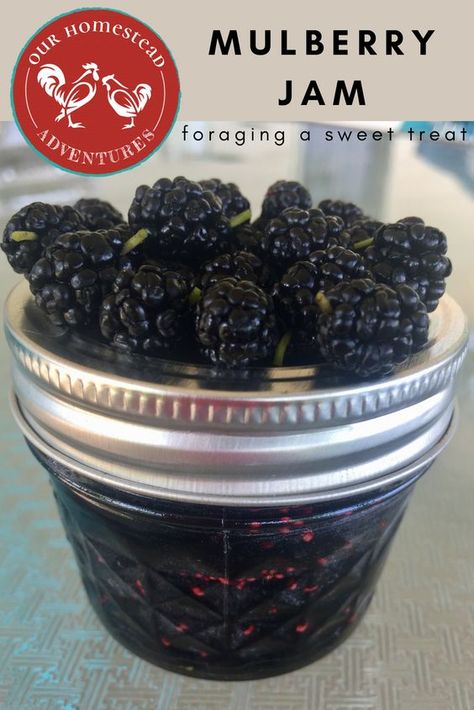 How To Make Mulberry Jam, Canning Mulberries, Mulberry Recipes Jam, Mulberry Jam Recipe Easy, Mulberry Jam Recipe No Pectin, Mullbery Recipe, Mulberry Jelly Recipe, Mulberry Jelly, Mulberry Jam Recipe