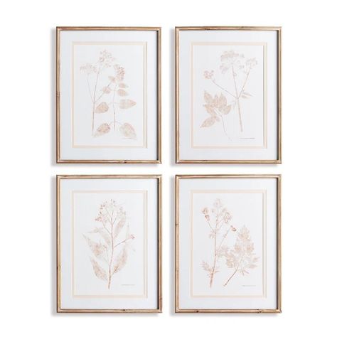 Libourne Blush Botanical Study Framed On Wood 4 Pieces Print | Wayfair North America Botanical Study, Napa Home, Study Set, Future Apartment, Framed Wall Art Sets, Nature Inspired Design, Laurel Foundry Modern Farmhouse, Wood Glass, Girl Nursery