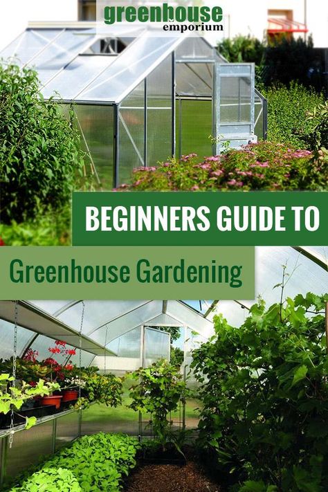 Zuppa Toscana Soup Olive Garden, Diy Greenhouse Plans, Greenhouse Growing, Backyard Greenhouse, Small Greenhouse, Organic Vegetable Garden, Greenhouse Plans, Meteor Garden 2018, Aquaponics System