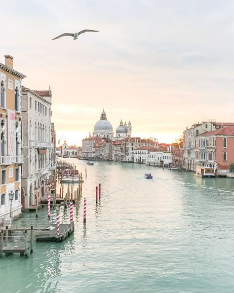 Venice Italy, Travel Inspo, Pretty Places, Places I Want To Go, Travel Aesthetic, Travel The World, Dream Vacations, Wall Collage, Travel Dreams