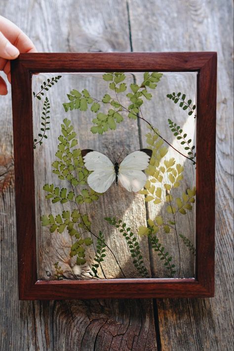 Butterfly Taxidermy Art, Entomology Decor, Taxidermy Butterflies, Bug Taxidermy, Witchy Cottage, Oddities Decor, Entomology Art, Victorian Interior Design, Butterfly Taxidermy